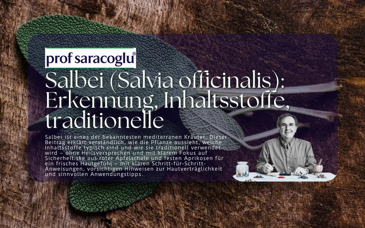 Salbei (Salvia officinalis): Erkennung, Inhaltsstoffe, traditionelle